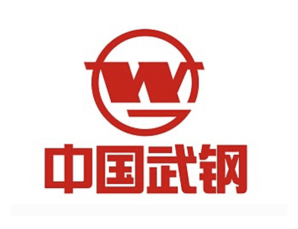 中国武钢集团